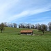 Hier kamen wir schon auf dem Hinweg vorbei, gingen aber rechts über eine Weide in den Wald Richtung Stahringen runter