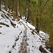 Die ostseitige Umgehung des Gschwandkopfs quert etappenweise steile Waldhänge.