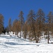 During the ascent through the forest.