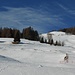 Start of the ski tour in Stierva.