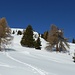 Impressions on the way up.