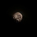Monduntergang zwischen den Bäumen vom Ättenberg. Bis zum Vollmond dauerte es noch 37⅓ Stunden und man sieht, dass der Mond noch nicht ganz voll war.