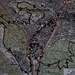 Teil II: Töss, Brühlberg, Burgruine Wülflingen und Hoh Wülflingen, Dättnau, Töss. map.geo.admin