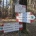 Il percorso è sempre ben segnalato (segnavia bianco-rossi con la scritta E1) e, ai crocevia, si trovano spesso i cartelli con indicate le località da raggiungere.