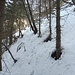 Traverso verso l'Alpe Piancarossa