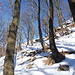 Alpe Piancarossa
