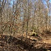 Heidengraben I