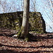 Die Burgruine Strenger Felsen