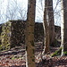 Die Burgruine Strenger Felsen