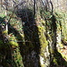 an der Burgruine Strenger Felsen