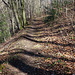 der Weg dorthin 