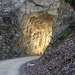 "Goldener" Tunnel beim Dünnlenberg.