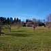 Frühling