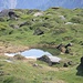 Secondo laghetto