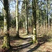 guter Pfad und heute sogar trocken