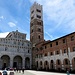 Lucca: il Duomo