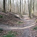 Auf dem Abstiegsweg entlang der Hornklamm. Parallel dazu verläuft eine inoffizielle MTB Downhill-Strecke, die ab und zu den Weg schneidet, wie hier im Foto.