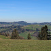 schöne Aussicht vom Chuterenegg übers Appenzellerland