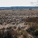 Blick nach Signal de Botrange - Belgien's höchster Erhebung