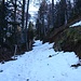 Ab ca. 1300 m ist der Weg schneebedeckt