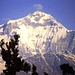 Nepal 25.02.1985. Sempre da Poon Hill, vista sulla poderosa parete sud del Dhaulagiri I (m 8167), la settima montagna più alta della terra.