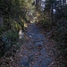 Hasselbach Tal