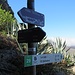 Typisch Gomera: durch üppige Kakteenhaine geht es dahin.