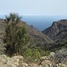 Wie so oft auf Gomera, sieht man durch eine steile Schlucht (=Barranco) hinunter zur Nordküste mit dem Atlantik.