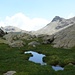 Alpe Pisonnet