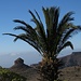 Aus dieser Perspektive präsentiert die merkwürdige Felskuppe El Sombrero ihre besondere Schönheit - garniert mit Palmwedeln in der frühen Morgensonne eine Augenweide.