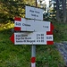 bivio fondamentale per salire all'Alpe Giove / Busin