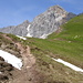 das Scharnitzjoch(2048m)