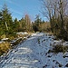Auf breitem Weg geht es weiter in Richtung Gindelalmschneid.