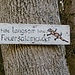 Ein Feuersalamander hat sich leider nicht blicken lassen.
