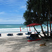 Am Patong Beach trafen wir sehr oft streunende Hunde.