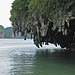 Skurille Felsformationen in der Phang-Nga-Bay. 