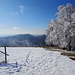 Wunderschöne Stimmung auf der Höchhand