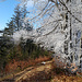 Rechts Winter, links Herbst