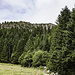 Wir beginnen unsere Wanderung mit einem Blick auf die Felsen des Tanet (Tanneck, 1293 m) am Wanderparkplatz unterhalb der Ferme Auberge Seestaedle