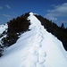 Im Anstieg zum Blaubergkopf