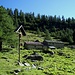 Verso il Colle di Valdobbia : Alpe Cialfrezzo di sotto