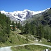 salendo verso Sant'anna : vista sul Monte Rosa