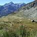 Alpe Forca Superiore