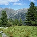 Staller : Vista sull'Alpe Cialfrezzo e sul Col d'Olen