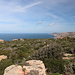 Monte Tinnari - Blick entlang der Küste in grob nordöstliche Richtung. Vorn verstecken sich einige Ferienhäuser bzw. Wochenendgrundstücke zwischen den Büschen. Hinten erahnt man mit Fantasie Korsika (links).