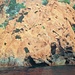 La Riserva Naturale della Scandola con le sue granitiche rocce rosse che colorano il mare cristallino...