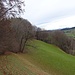 der Krete und dem Waldrand entlang ...