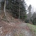 In der Gegend Lör, wo der Dünkelweg abzweigt gegen den Gratpunkt 708m auf beim Riedberg.