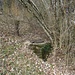 Heutige Quellfassung. Das Wasser wird wohl jetzt ins Netz der Wasserversorgung Waldenburg AG eingespiesen.