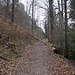 Das könnte nun der sogenannte untere Teichelweg sein.